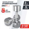 Гантель UNIX FIT PRO круглая хромированная 5 кг, 2 шт. DBRND5PCEx2